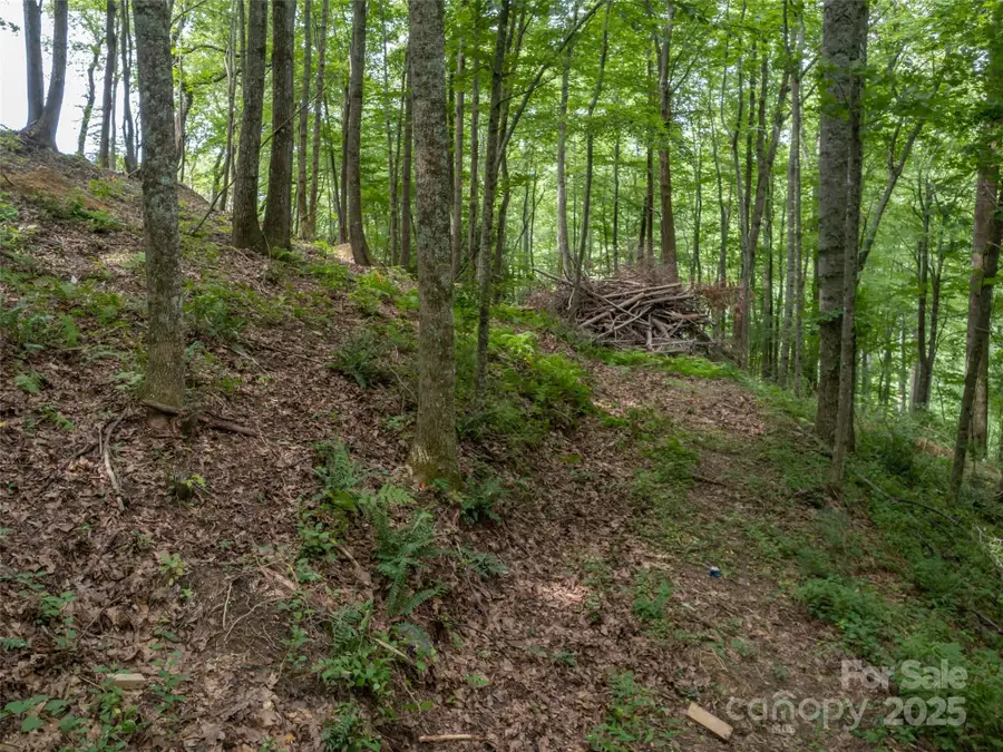 20 Highland Point Drive, Hendersonville, NC 28739 - Image #3