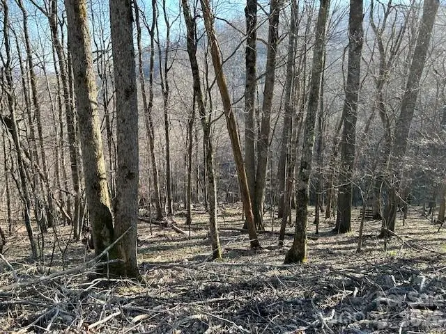 Lot 20 Trillium Lane, Mars Hill, NC 28754 - Image #1