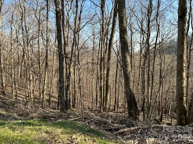 Lot 20 Trillium Lane, Mars Hill, NC 28754 - Image #3