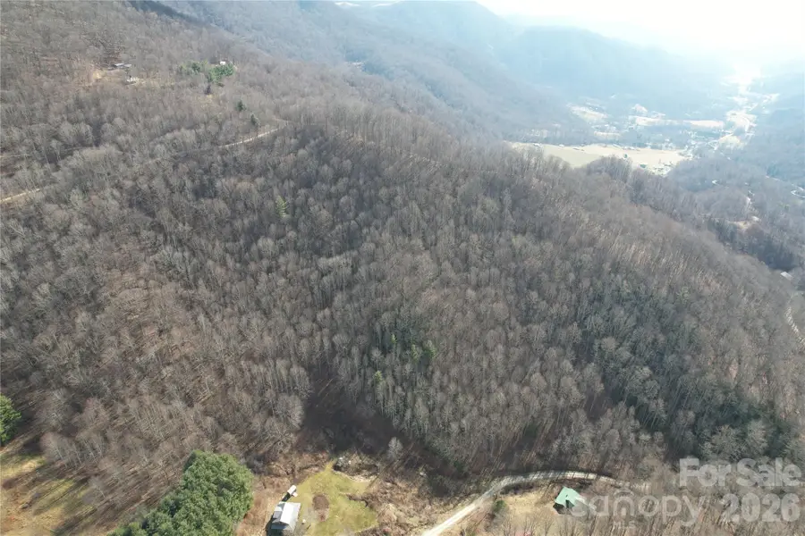 00 Mule Stomp Road, Clyde, NC 28721 - #2