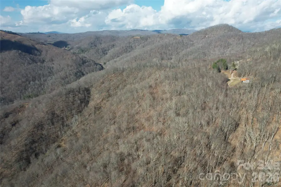 00 Mule Stomp Road, Clyde, NC 28721 - #3