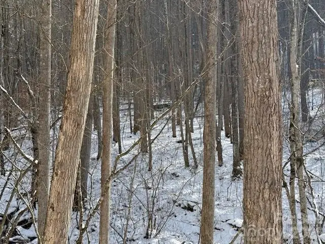 00000 Martins Creek Road, Barnardsville, NC 28709 - #2