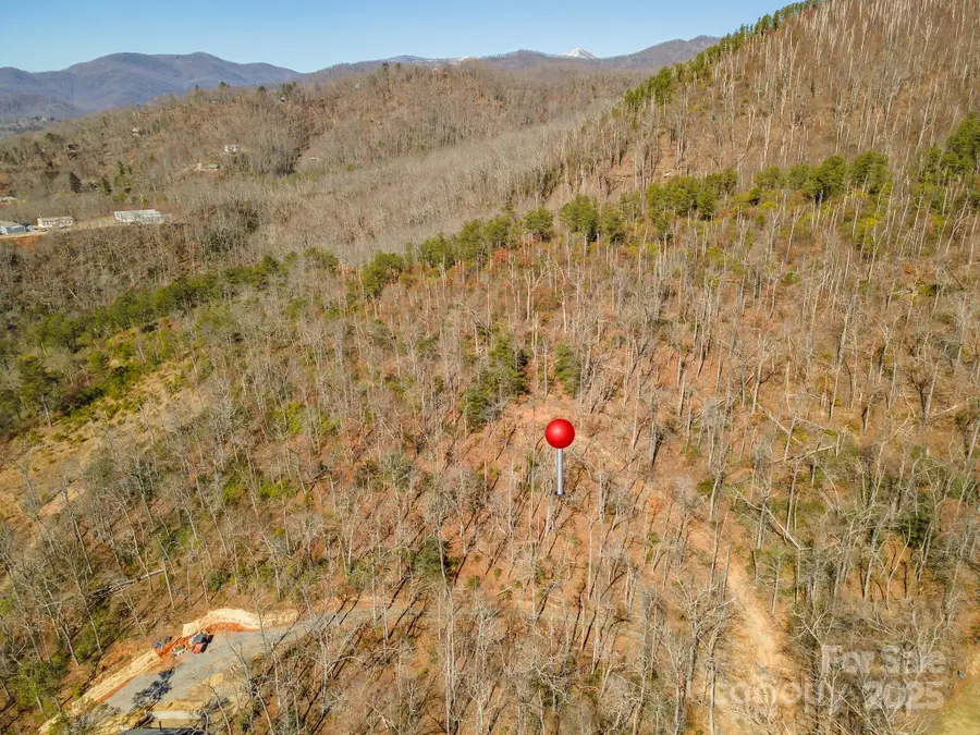 107 Bartram Way, Black Mountain, NC 28711 - #2