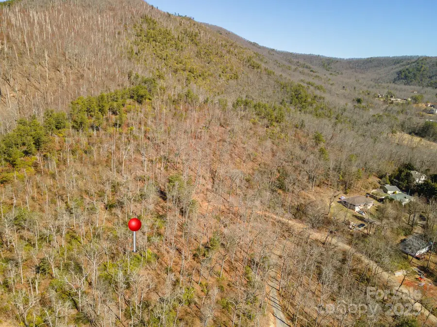 107 Bartram Way, Black Mountain, NC 28711 - #3