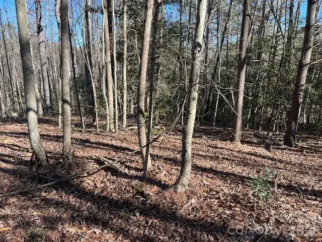 3155 Fredrick Place, Granite Falls, NC 28630 - Image #3