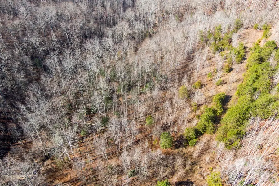 0 W Pasture Drive #36, Ellenboro, NC 28040 - #3