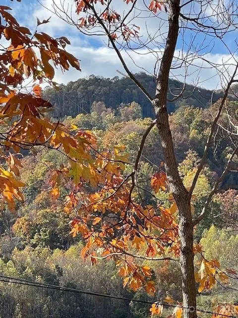 271 Wiggins Road, Candler, NC 28715 - Image #3