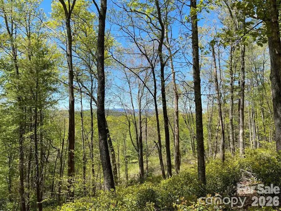 000 Orchard View Trail #11, Spruce Pine, NC 28777 - #2