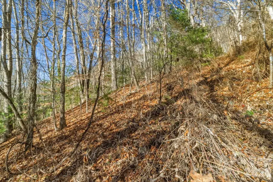 000 Briarwood Road, Webster, NC 28788 - Image #3