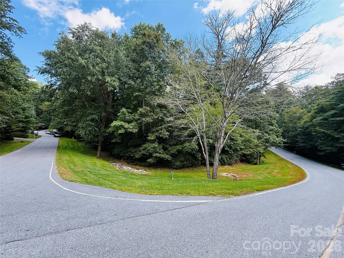 20 Prickly Briar Road, Hendersonville, NC 28739 - #1
