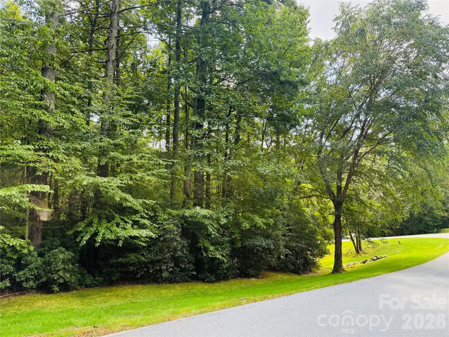 20 Prickly Briar Road, Hendersonville, NC 28739 - #3