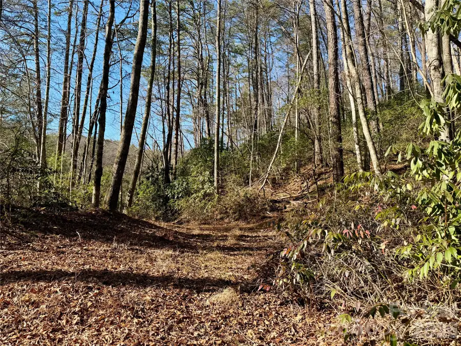 lots 35, 36 & 37 Fox Den Road #35,36,37, Brevard, NC 28712 - Image #2