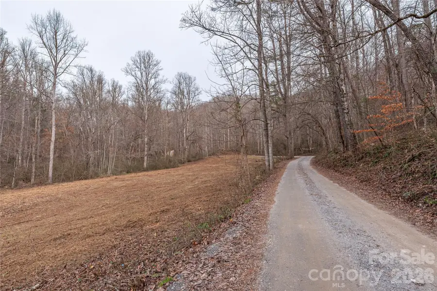 00 Carver Mountain Valley, Sylva, NC 28779 - Image #2