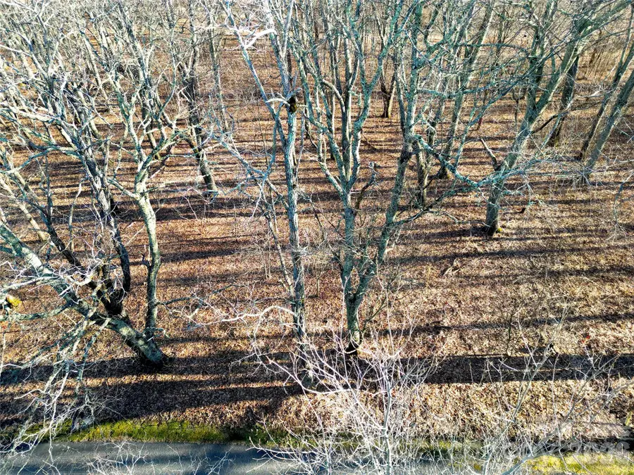 114 Eagle View Circle, Waynesville, NC 28786 - Image #2