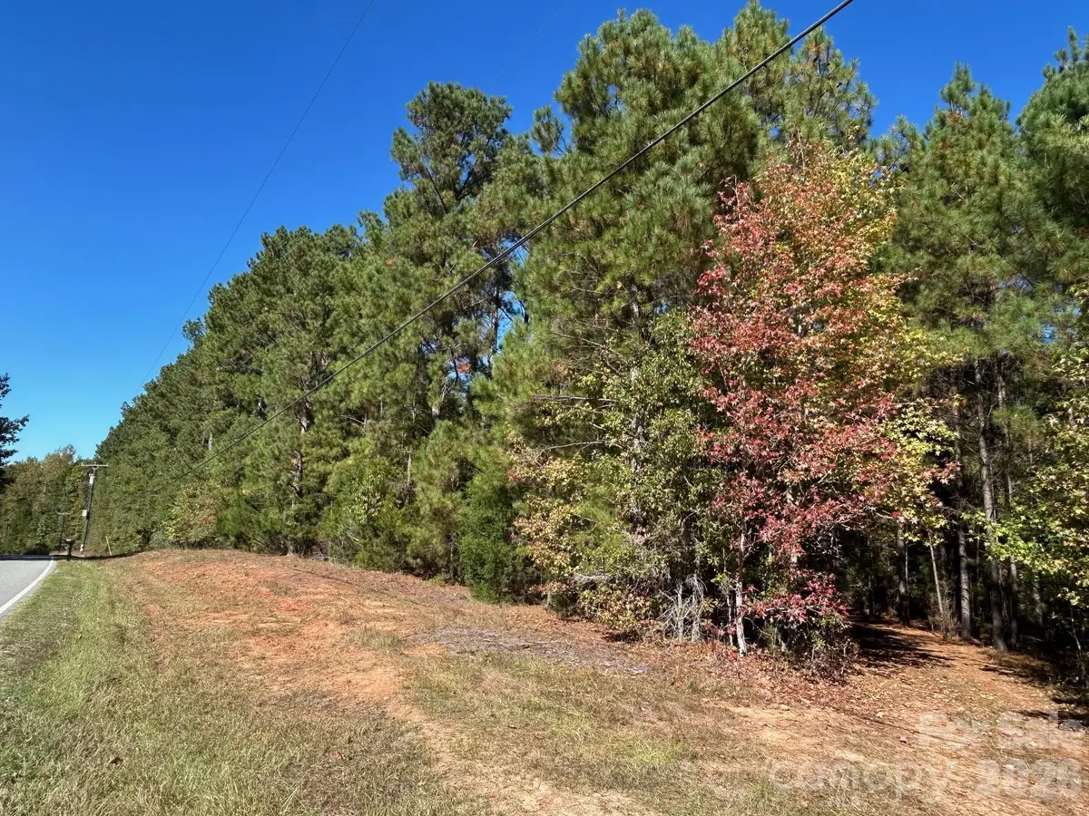5 AC Lot 3 Ernandez Road, Richburg, SC 29729 - #1