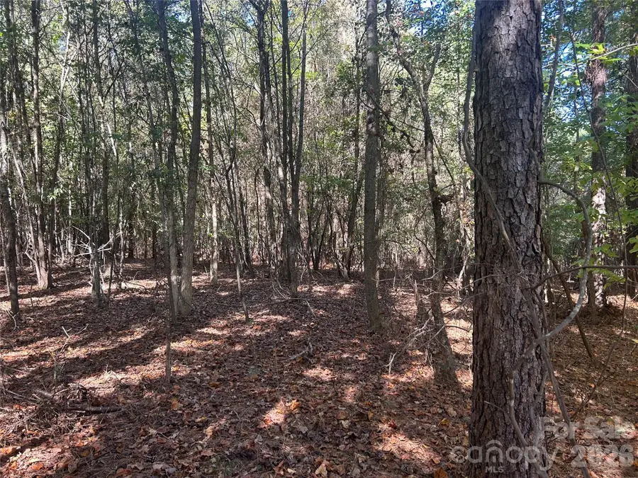 5 AC Lot 3 Ernandez Road, Richburg, SC 29729 - #3