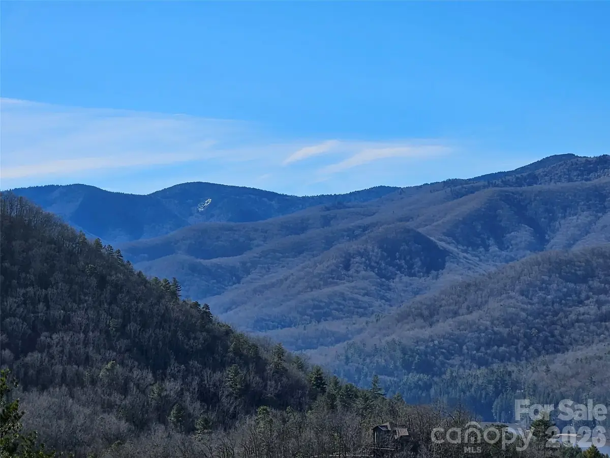 000 Blue Vista Road, Canton, NC 28716 - #1