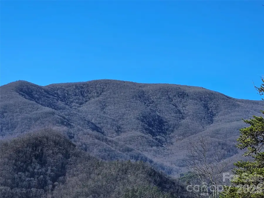 000 Blue Vista Road, Canton, NC 28716 - #3