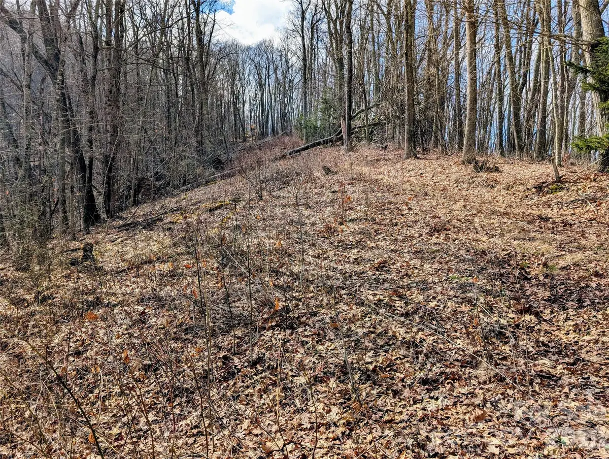 #49 Hazel Top Section, Teaberry Ridge Road, Waynesville, NC 28786 - #1