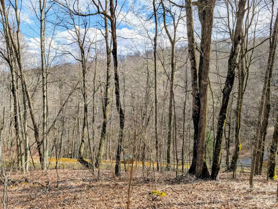 #49 Hazel Top Section, Teaberry Ridge Road, Waynesville, NC 28786 - #2