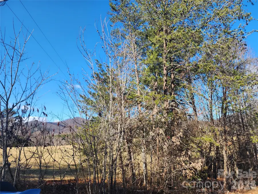 21 Hickory Drive, Taylorsville, NC 28681 - Image #2