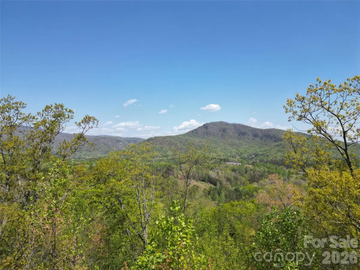 Lot 4 Hibiscus Court, Lake Lure, NC 28746 - #1