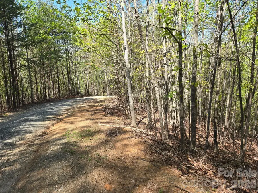 Lot 4 Hibiscus Court, Lake Lure, NC 28746 - #2