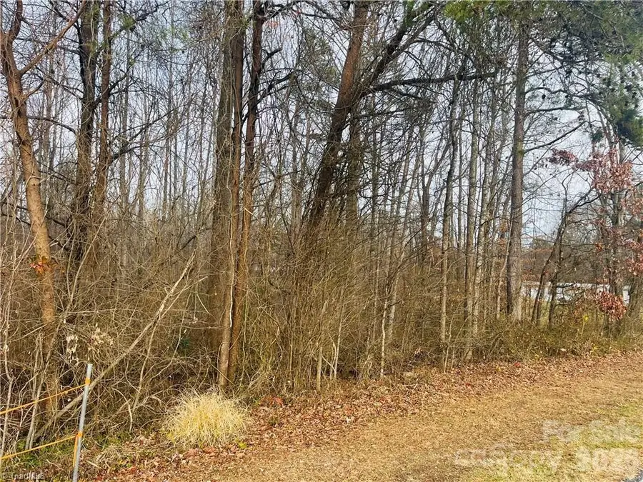 000 Union Hill Road, Thurmond, NC 28683 - Image #2