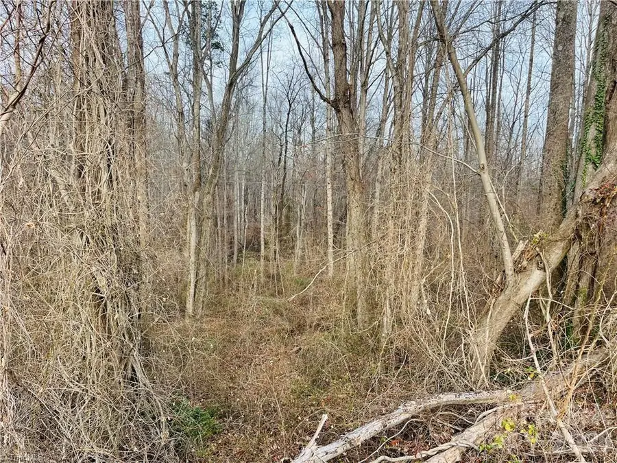 000 Union Hill Road, Thurmond, NC 28683 - Image #3