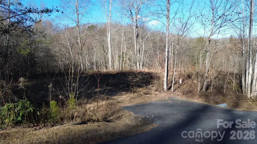 138 Fairlane Loop #19, Whittier, NC 28789 - #2