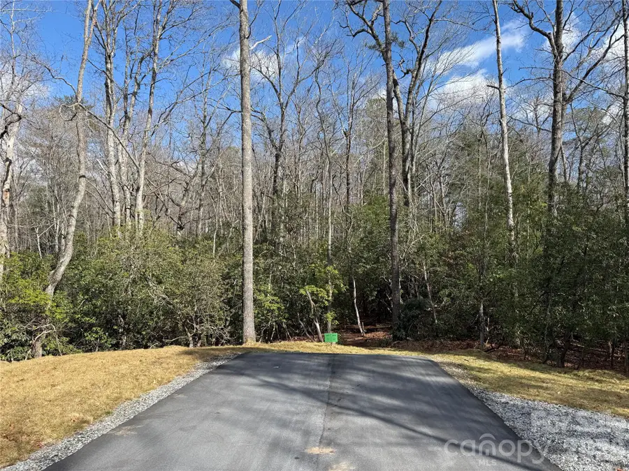 Tract 3 Turtle Ridge Trail, Mills River, NC 28759 - #3