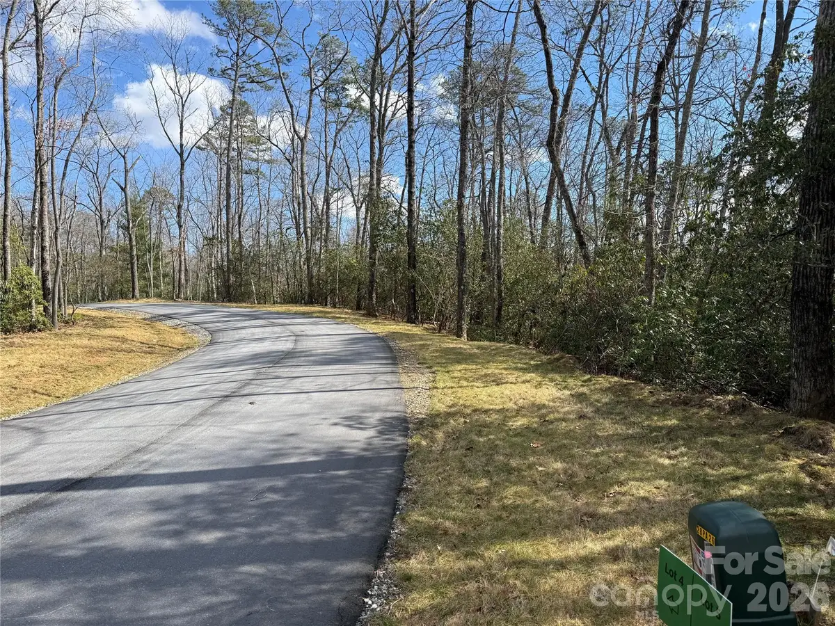 Tract 4 Turtle Ridge Trail, Mills River, NC 28759 - #1