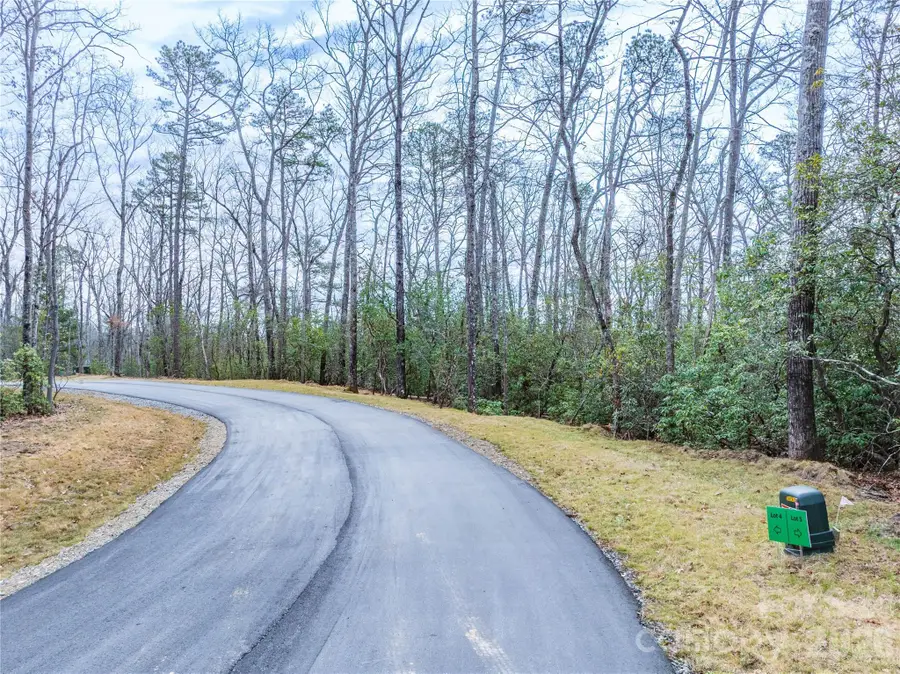 Tract 4 Turtle Ridge Trail, Mills River, NC 28759 - #2