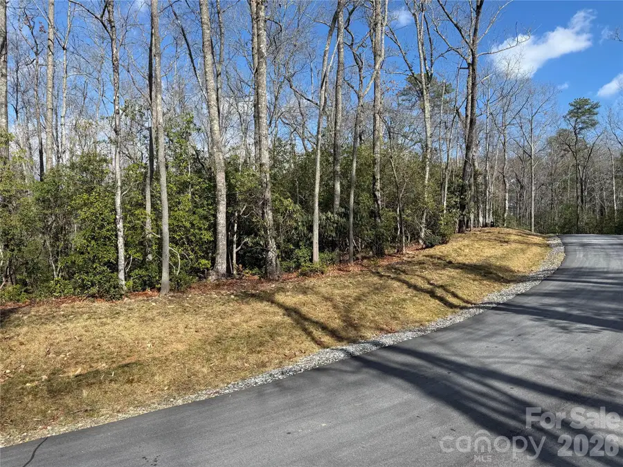 Tract 1 Turtle Ridge Trail, Mills River, NC 28759 - #3