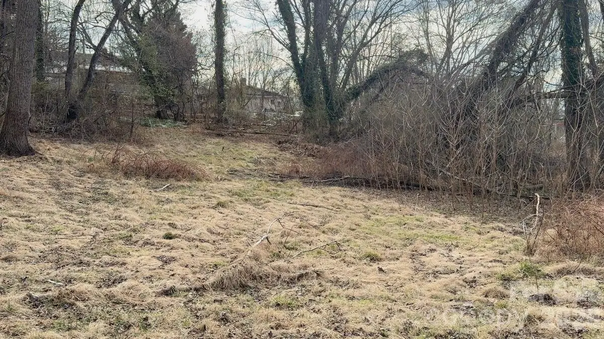 39 Lanvale Avenue, Asheville, NC 28806 - #1