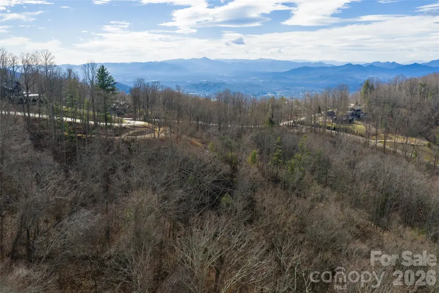 99999 Elk Mountain Scenic Highway #1 & 2, Asheville, NC 28804 - #3