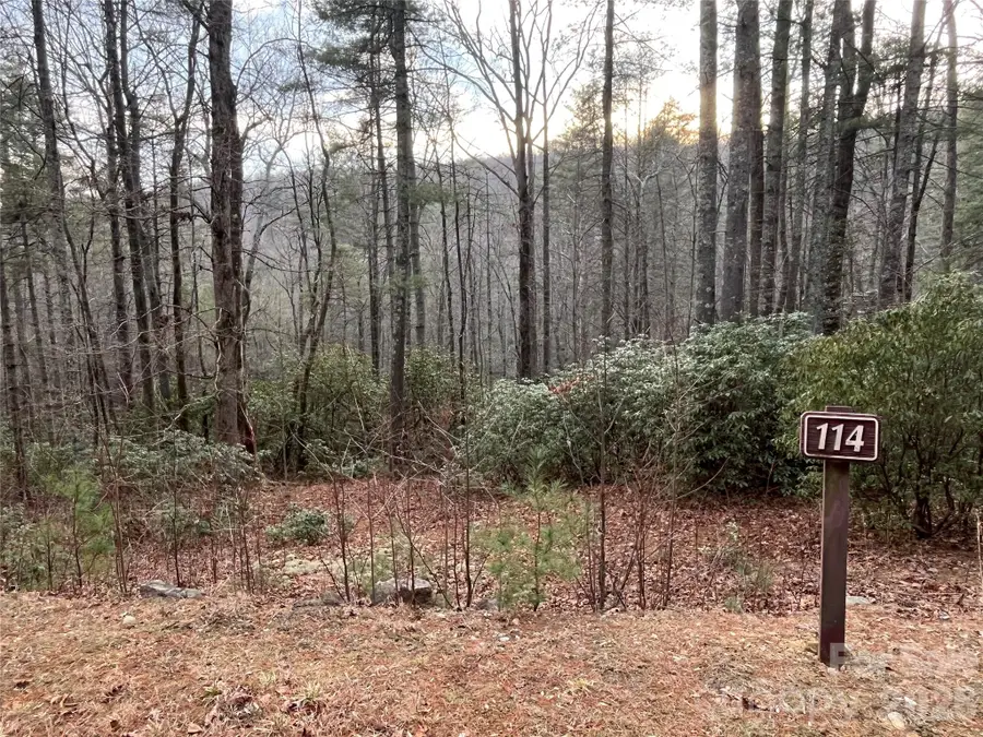 Lot 114 Huckleberry Ridge Lane, Zirconia, NC 28790 - Image #2