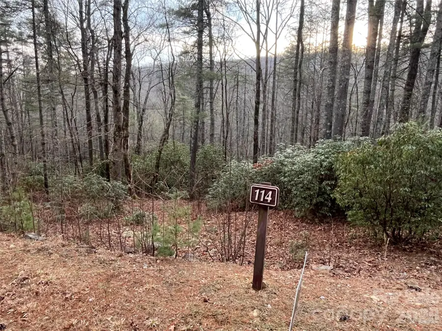 Lot 114 Huckleberry Ridge Lane, Zirconia, NC 28790 - Image #3