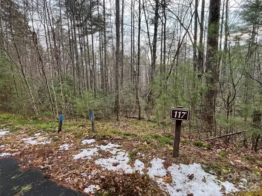 Lot 117 Huckleberry Ridge Lane, Zirconia, NC 28790 - #2