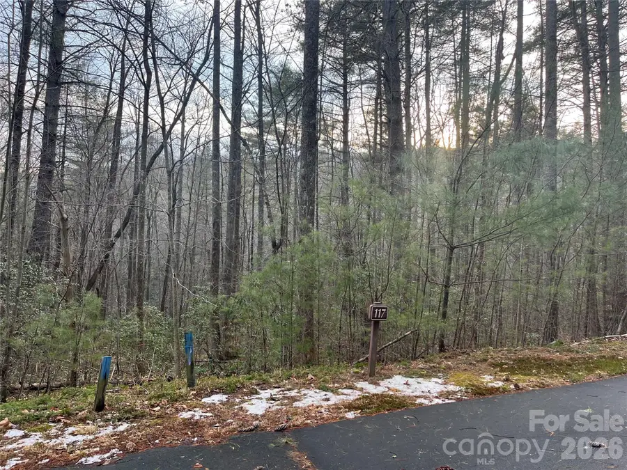 Lot 117 Huckleberry Ridge Lane, Zirconia, NC 28790 - #3