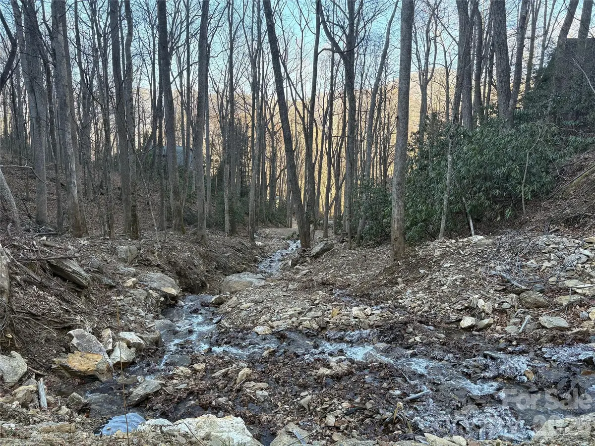 TBD Thrush Drive #20, Maggie Valley, NC 28751 - #1