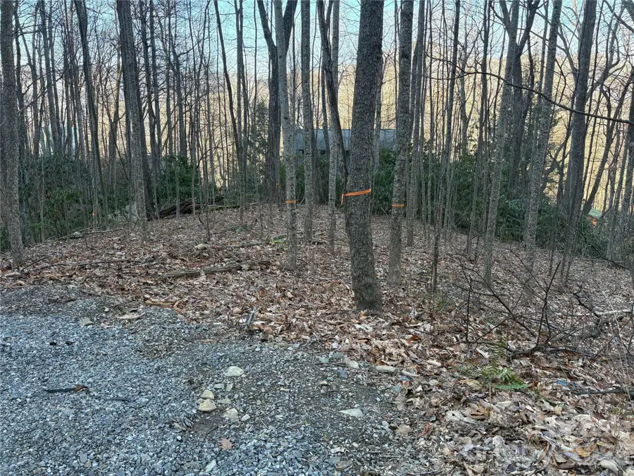 TBD Thrush Drive #20, Maggie Valley, NC 28751 - #2