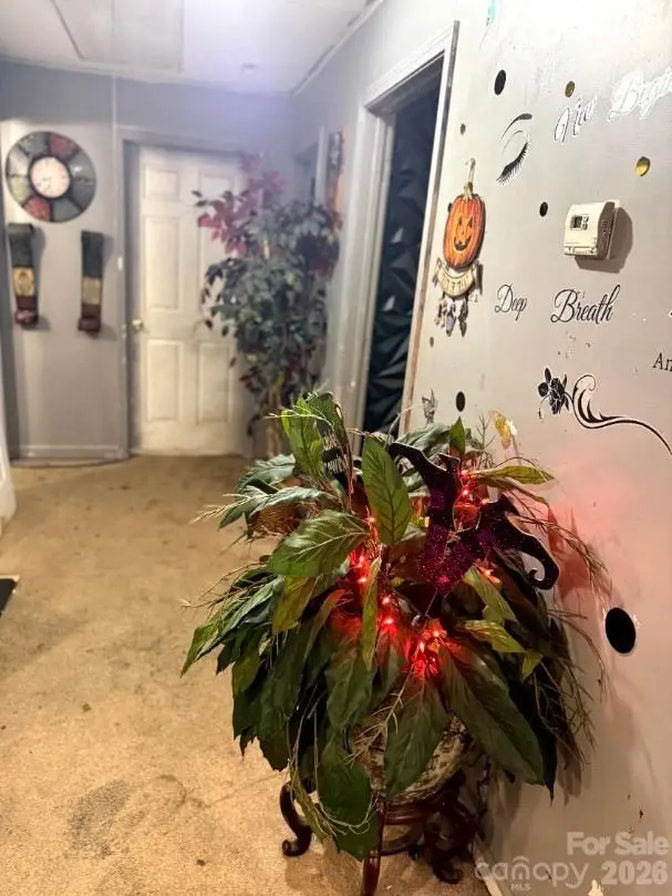 8 Hemlock Drive, Asheville, NC 28806 - Image #3