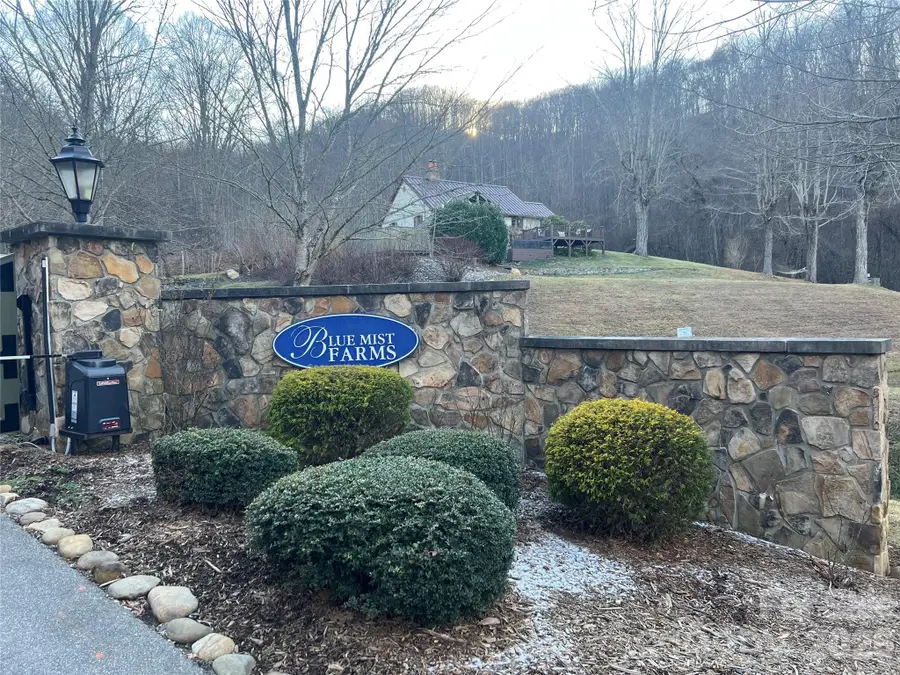 99999 Farm Cove Lane #10, Leicester, NC 28748 - Image #2