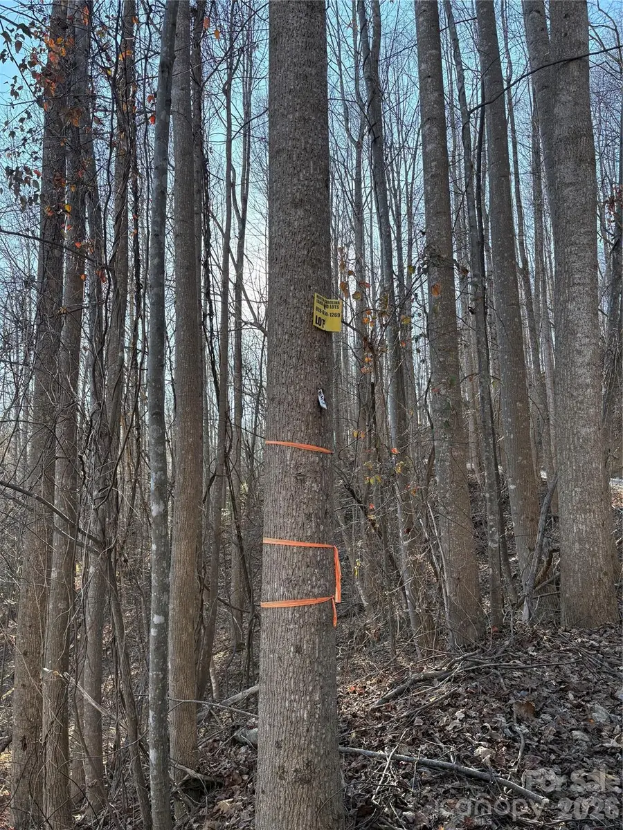 V/L Brindlewood Drive #38V, Nebo, NC 28761 - Image #2