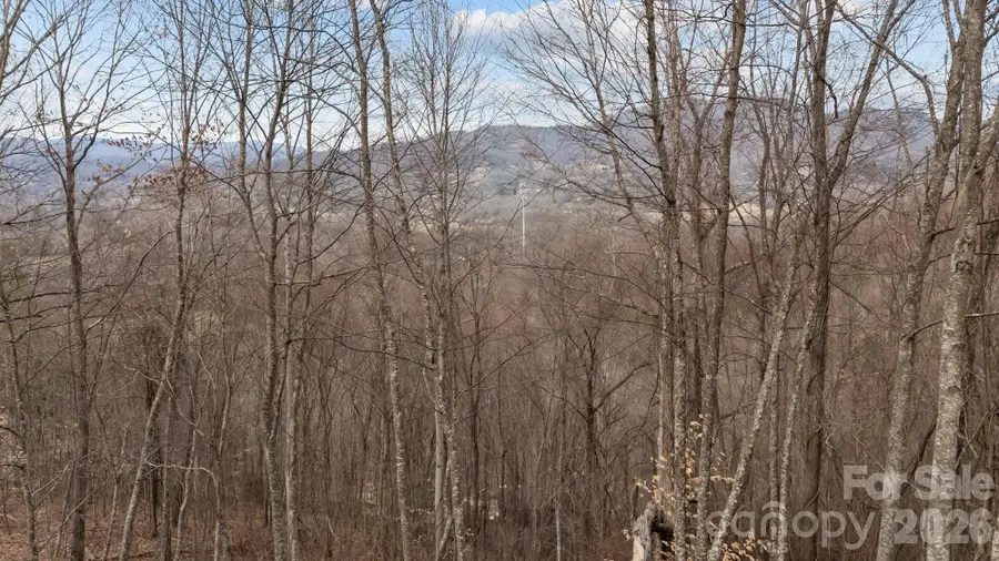 99999 Haynes Cove, Clyde, NC 28721 - Image #2