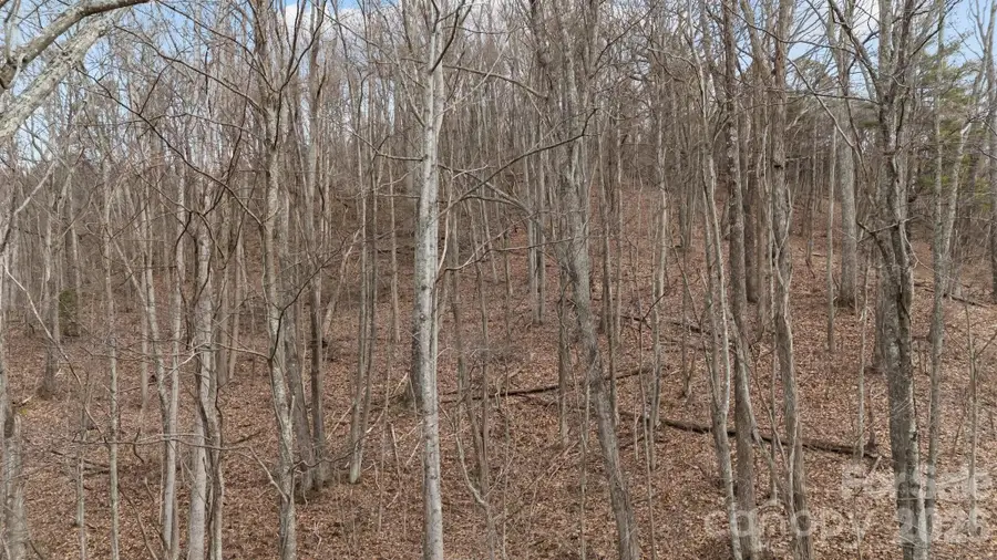 99999 Haynes Cove, Clyde, NC 28721 - Image #3