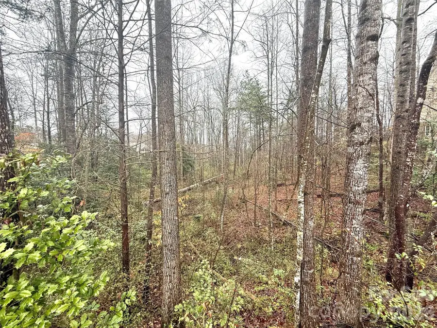 5136 Mark Drive Ne, Hickory, NC 28601 - #3