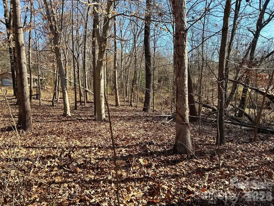 00 Walker Branch Road, Lincolnton, NC 28092 - Image #3