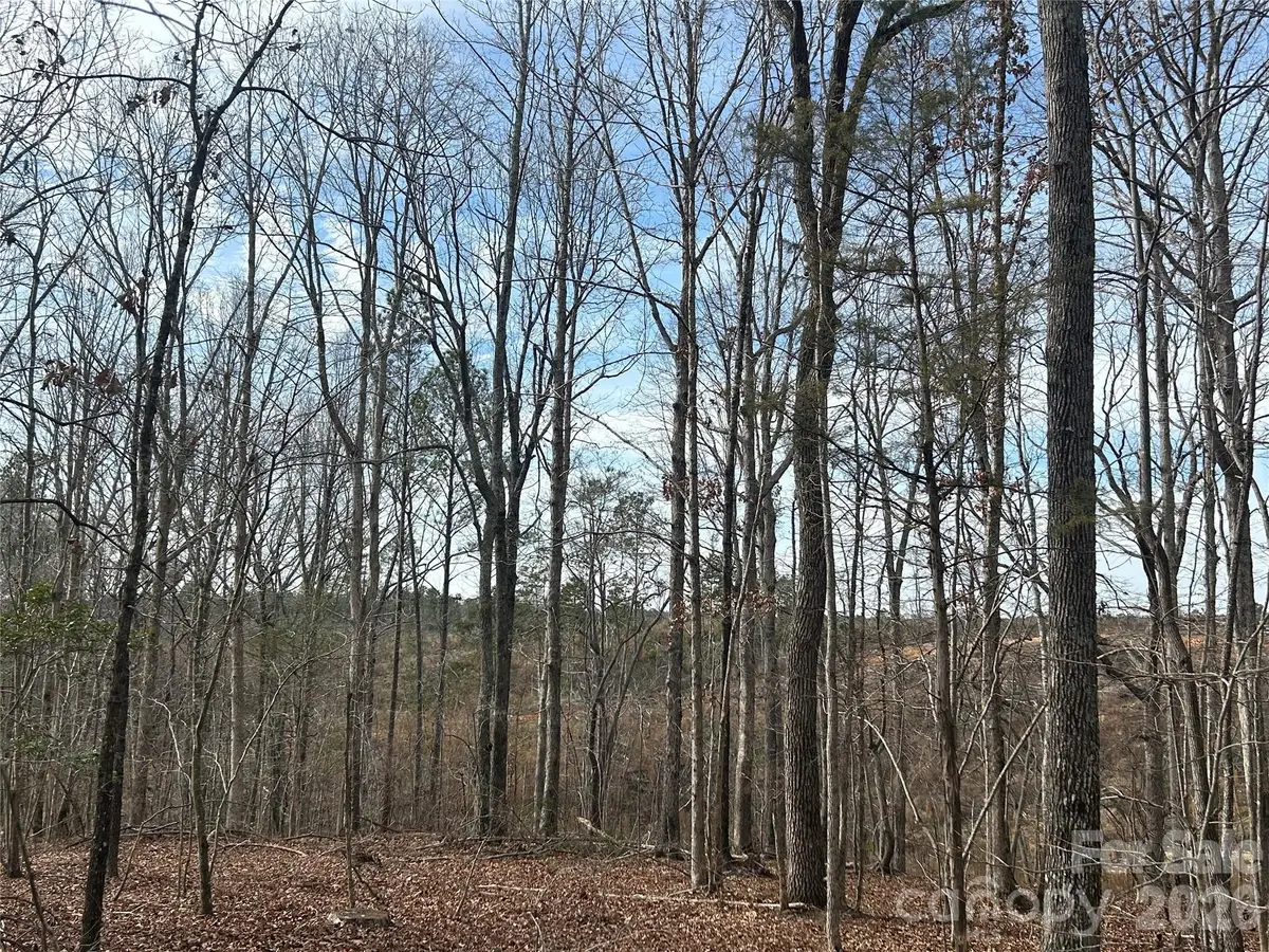 33 Ac Lot A Countryside Drive, Blackstock, SC 29014 - #1